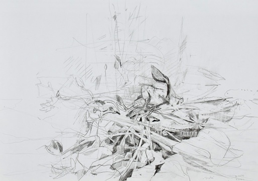 Nymphea Giganthea von Robert Oltay